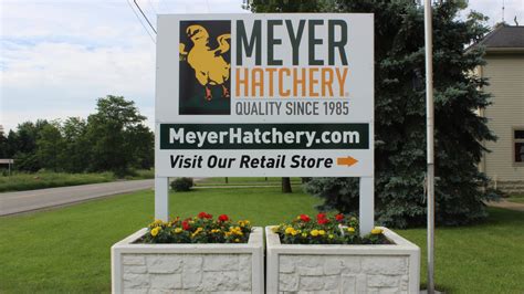 meyer hatchery|meyer hatchery polk ohio website.